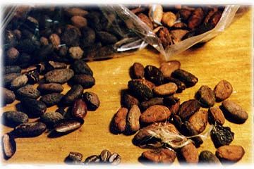 chocolate melangeur