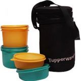 Tupperware Executive lunch box
